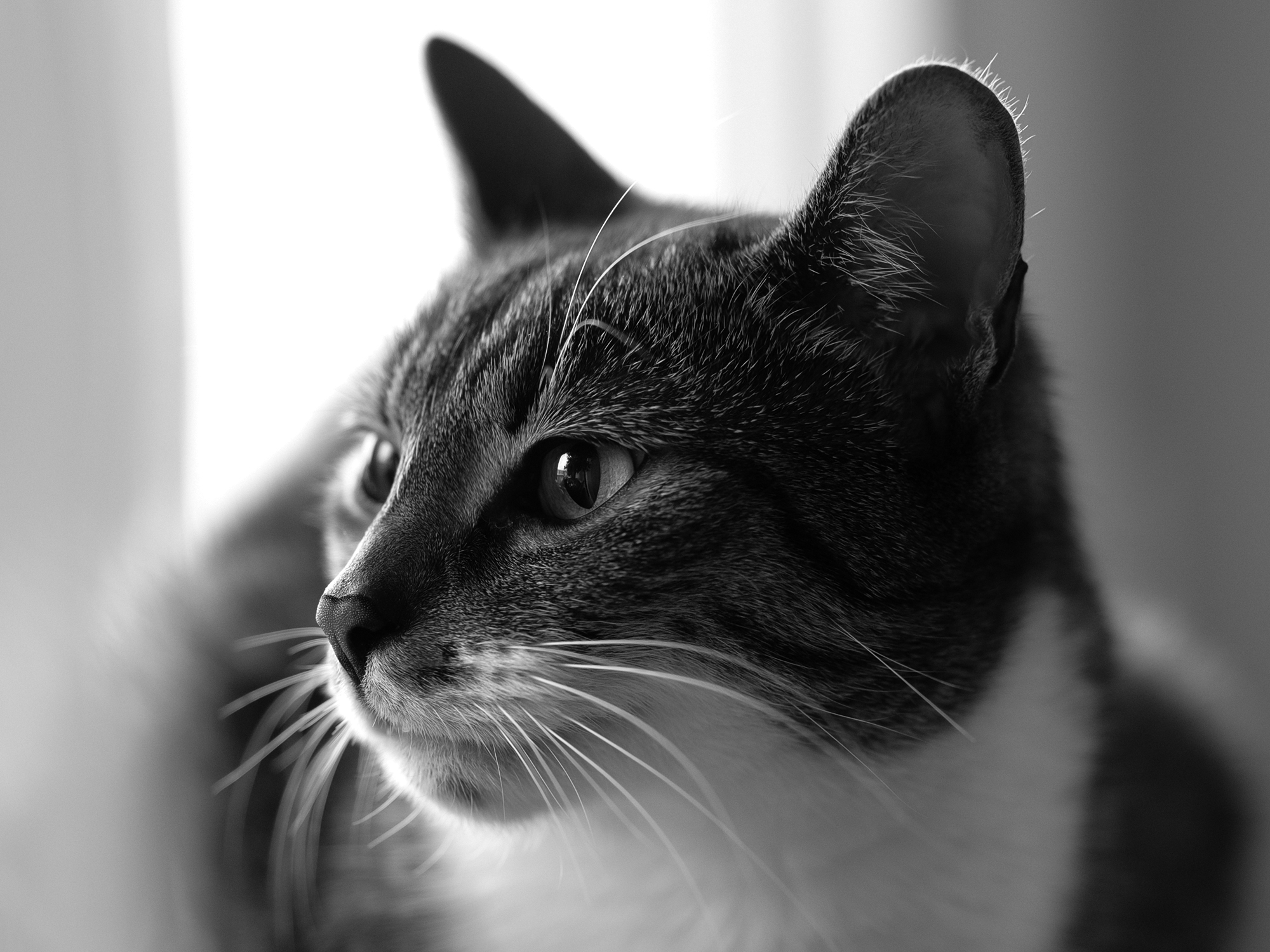 Headshot of BRUTIK