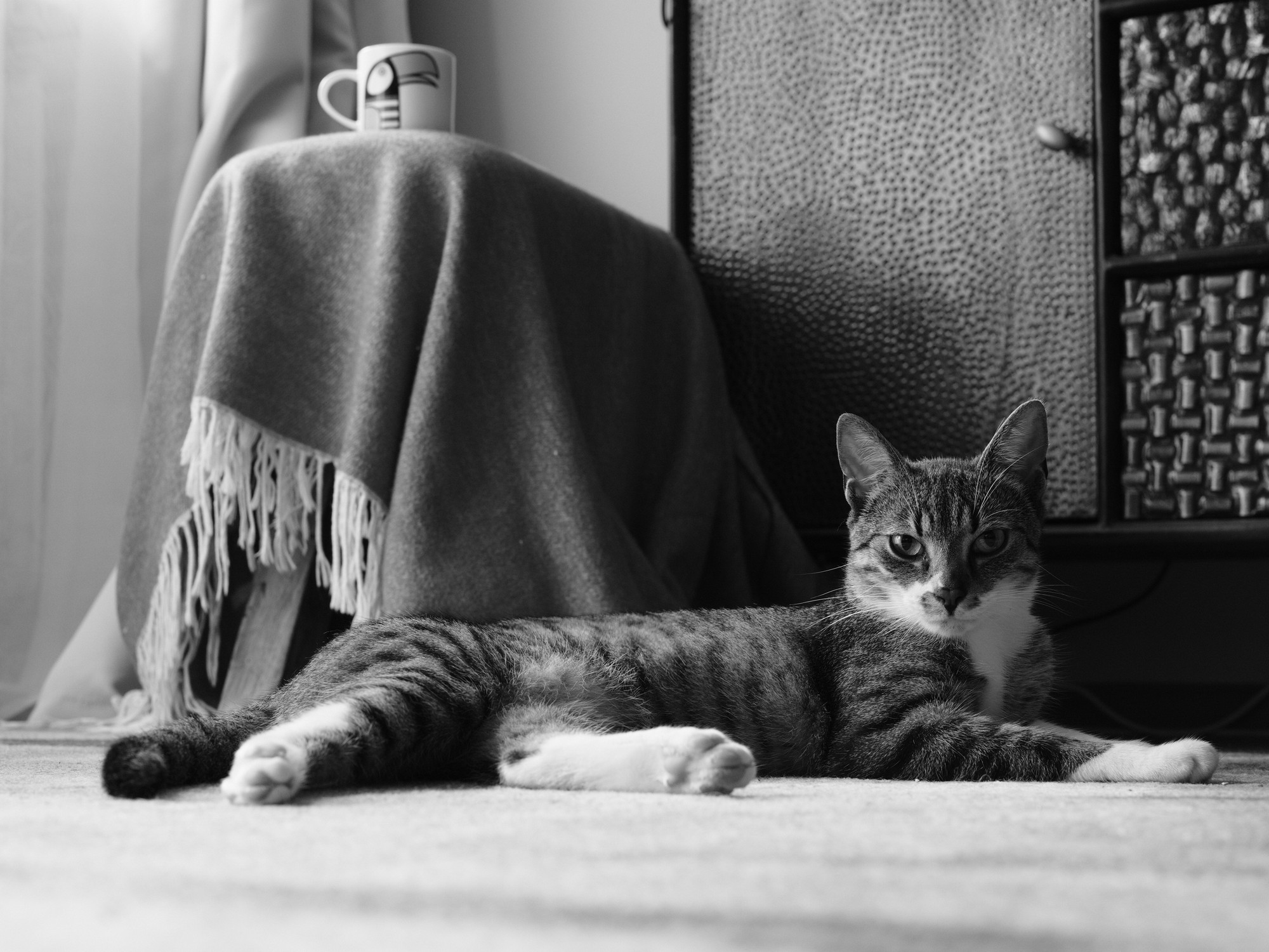 Resting Brutik