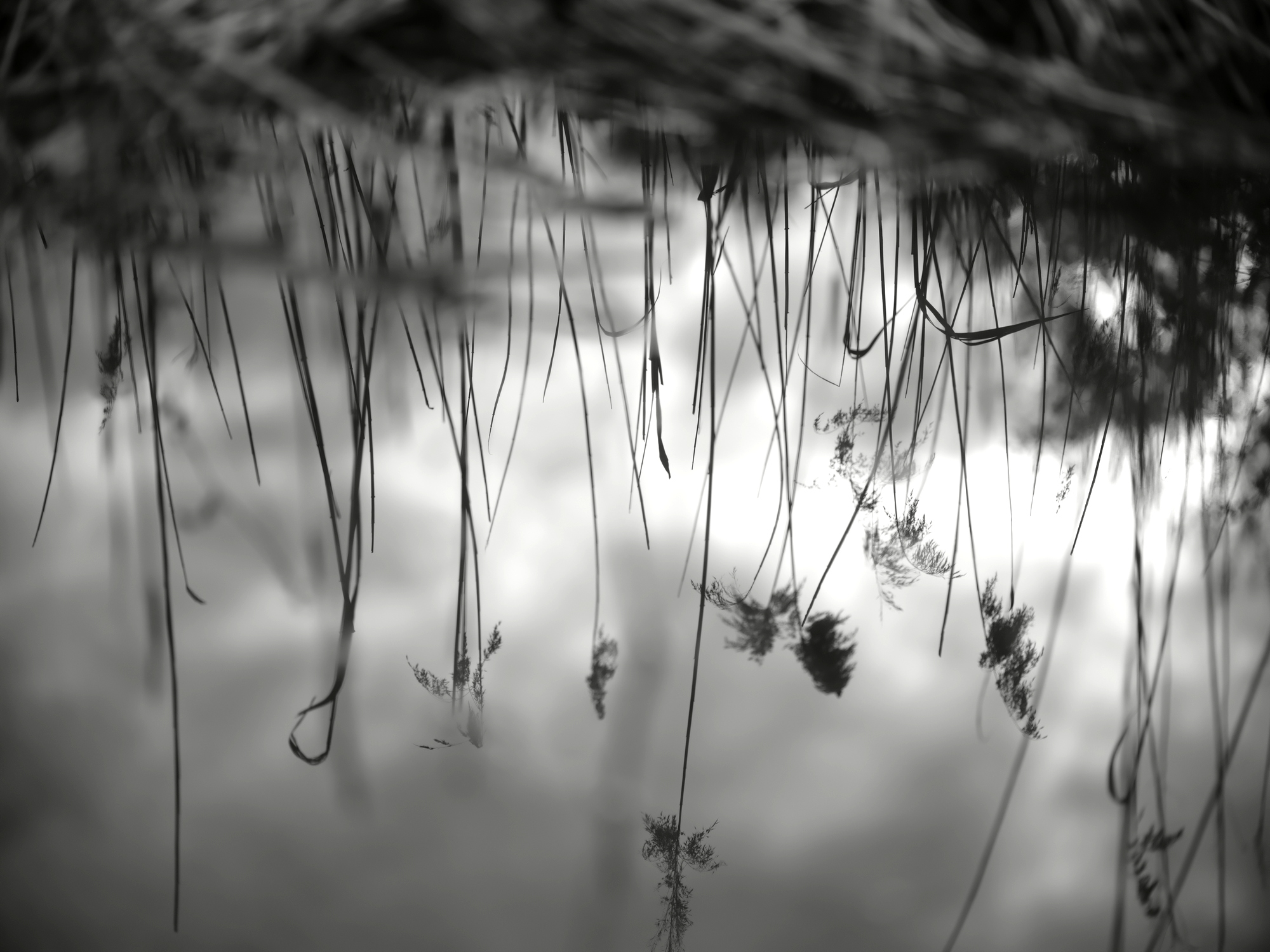 Water mirror