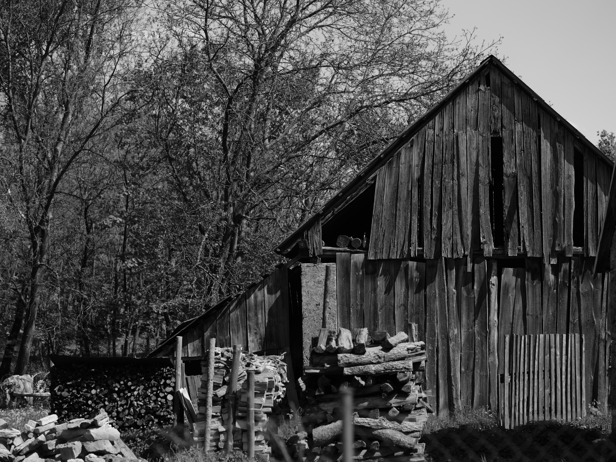 old shed