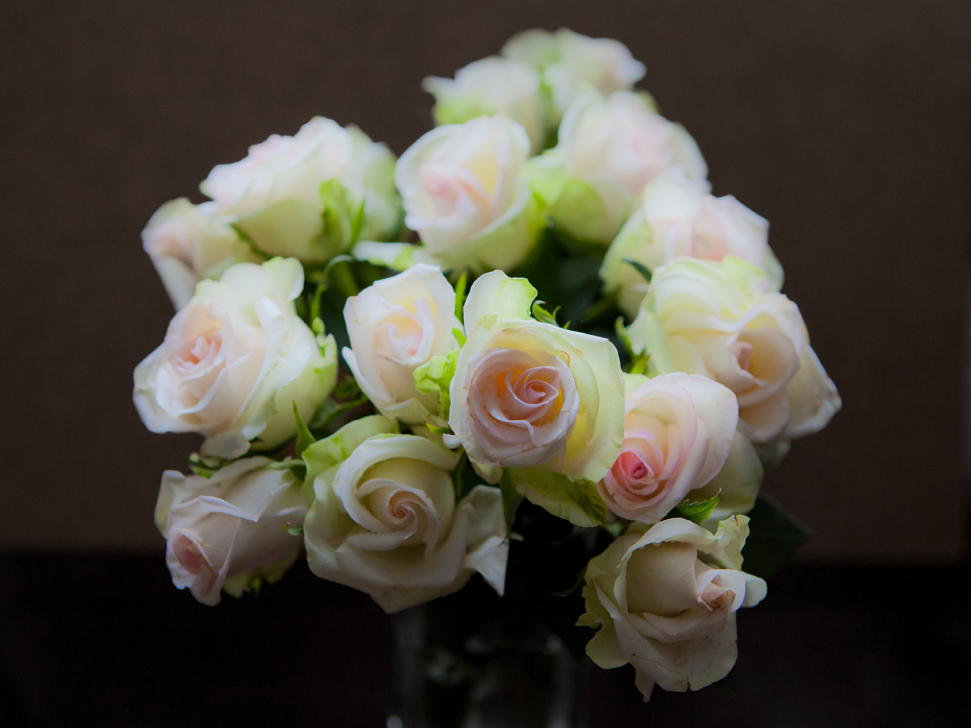 Roses