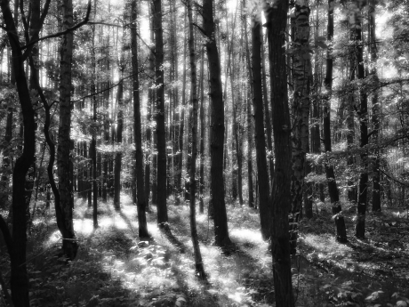 unnamed
